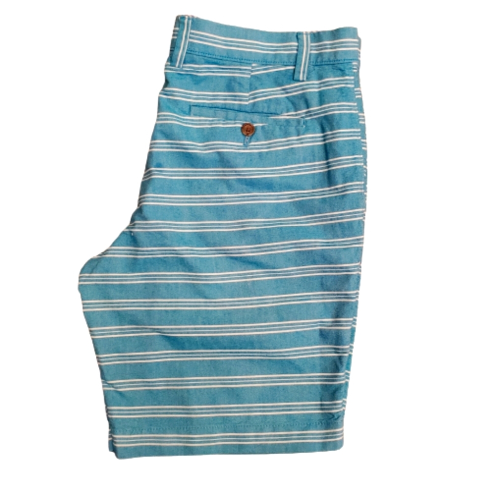 Mens 33 Shorts Bannana Republic